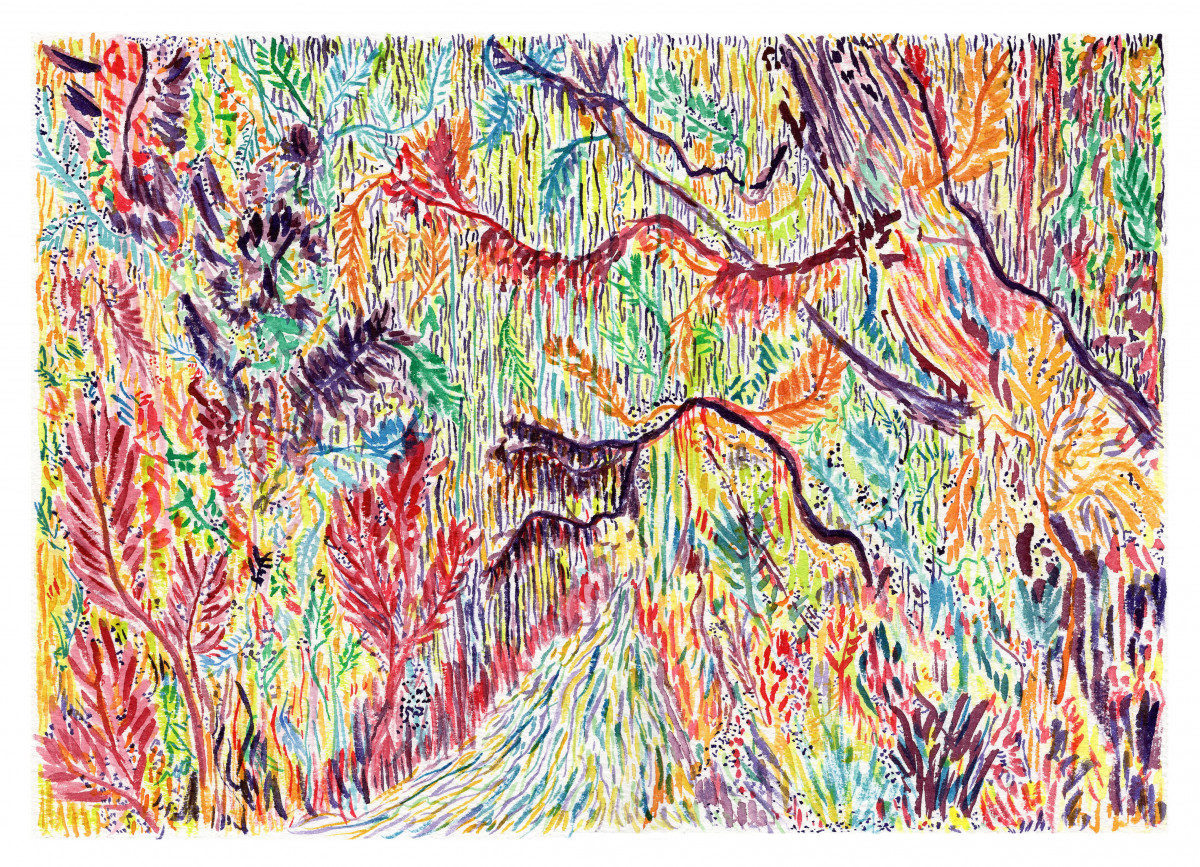La forêt de lianes