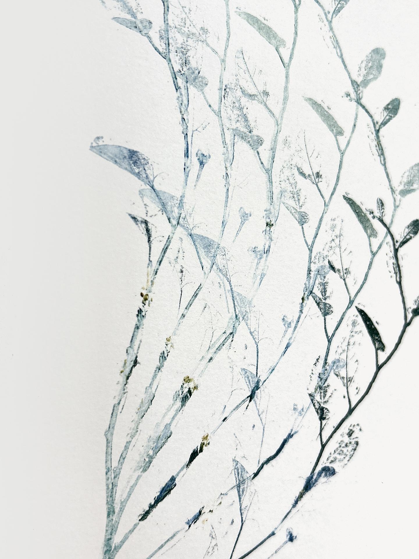 Apparaître #9, Edith BASSEVILLE – Image 2