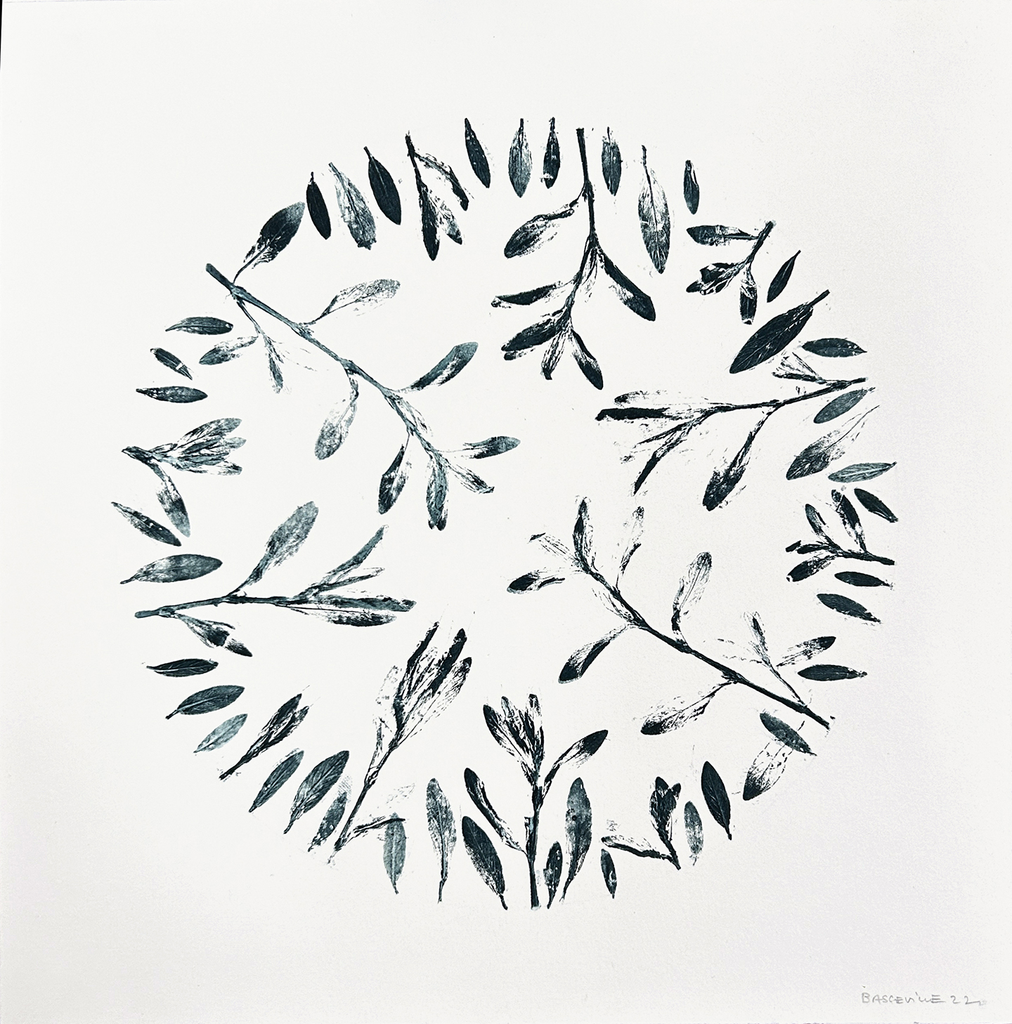 Coloniser #11, Edith BASSEVILLE