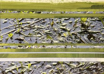 Paysage 11, série Souvenirs Troubles, Edith BASSEVILLE