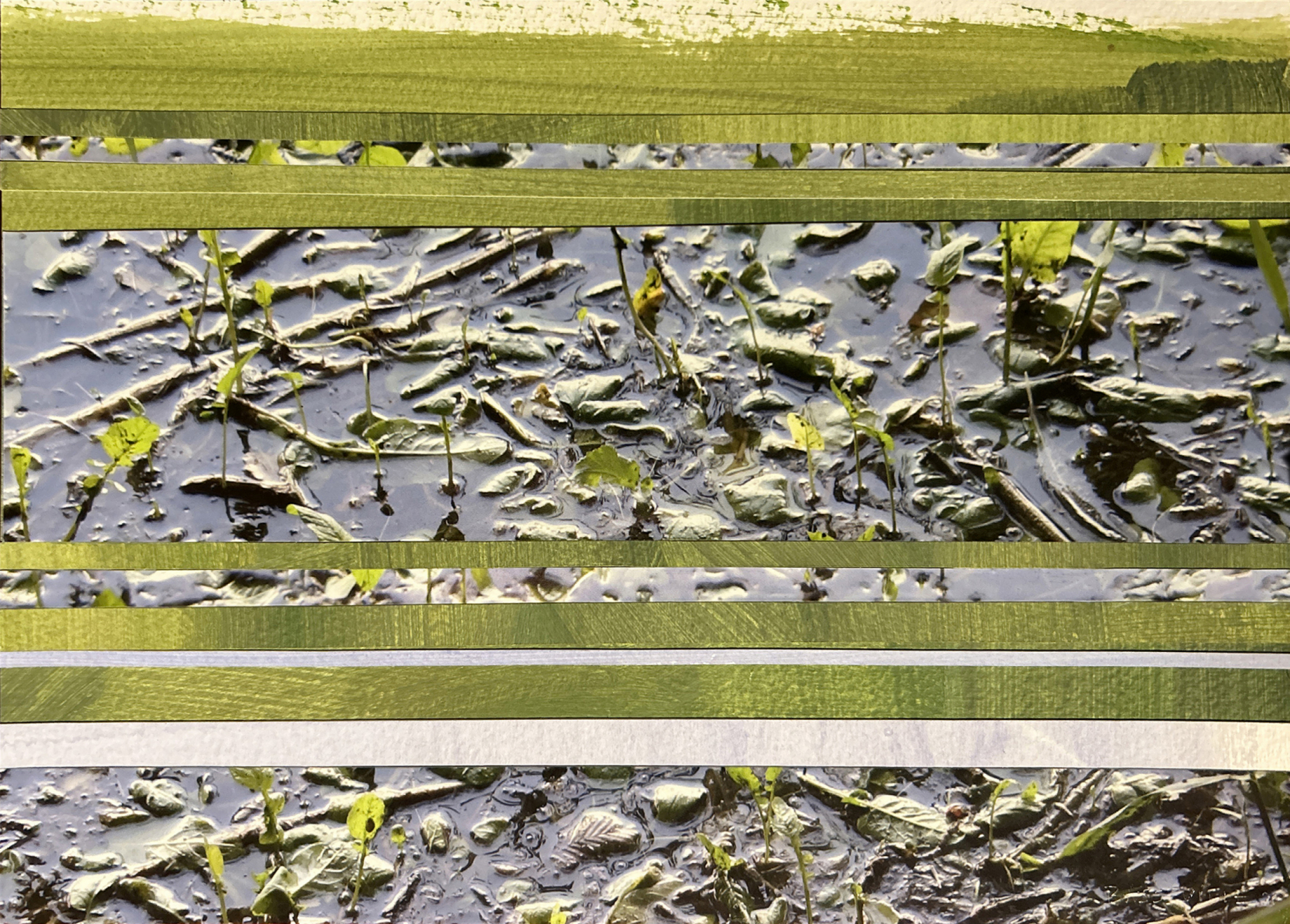 Paysage 11, série Souvenirs Troubles, Edith BASSEVILLE