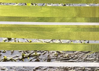 Paysage 12, série Souvenirs Troubles, Edith BASSEVILLE