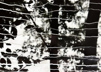 Paysage 4, série Souvenirs Troubles, Edith BASSEVILLE