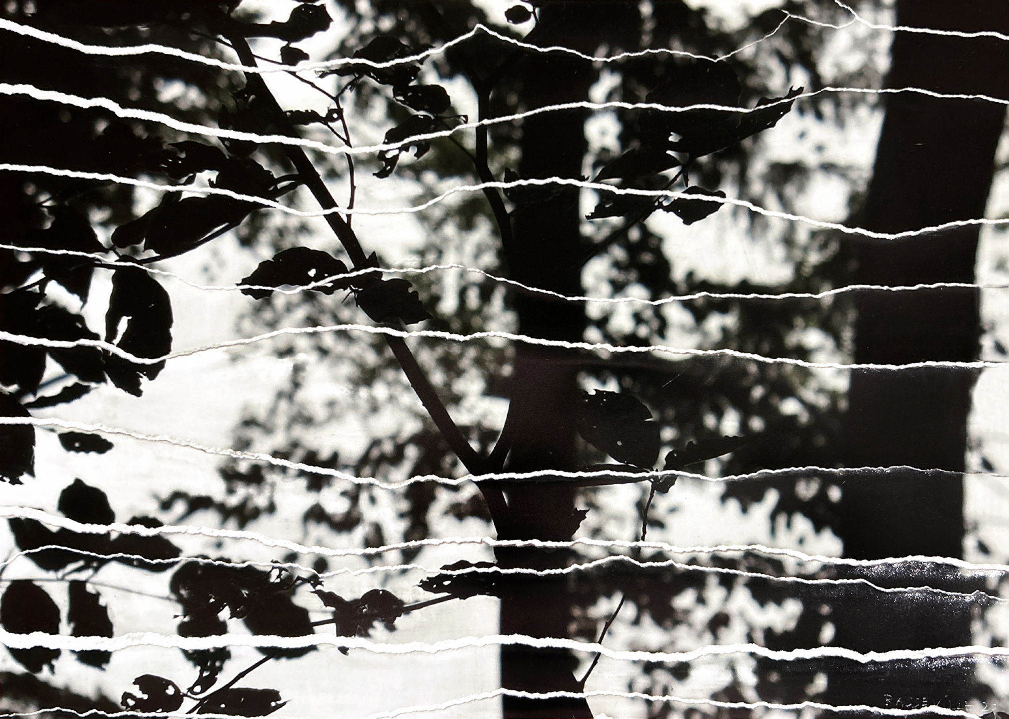 Paysage 4, série Souvenirs Troubles, Edith BASSEVILLE