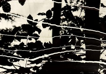 Paysage 5, série Souvenirs Troubles, Edith BASSEVILLE