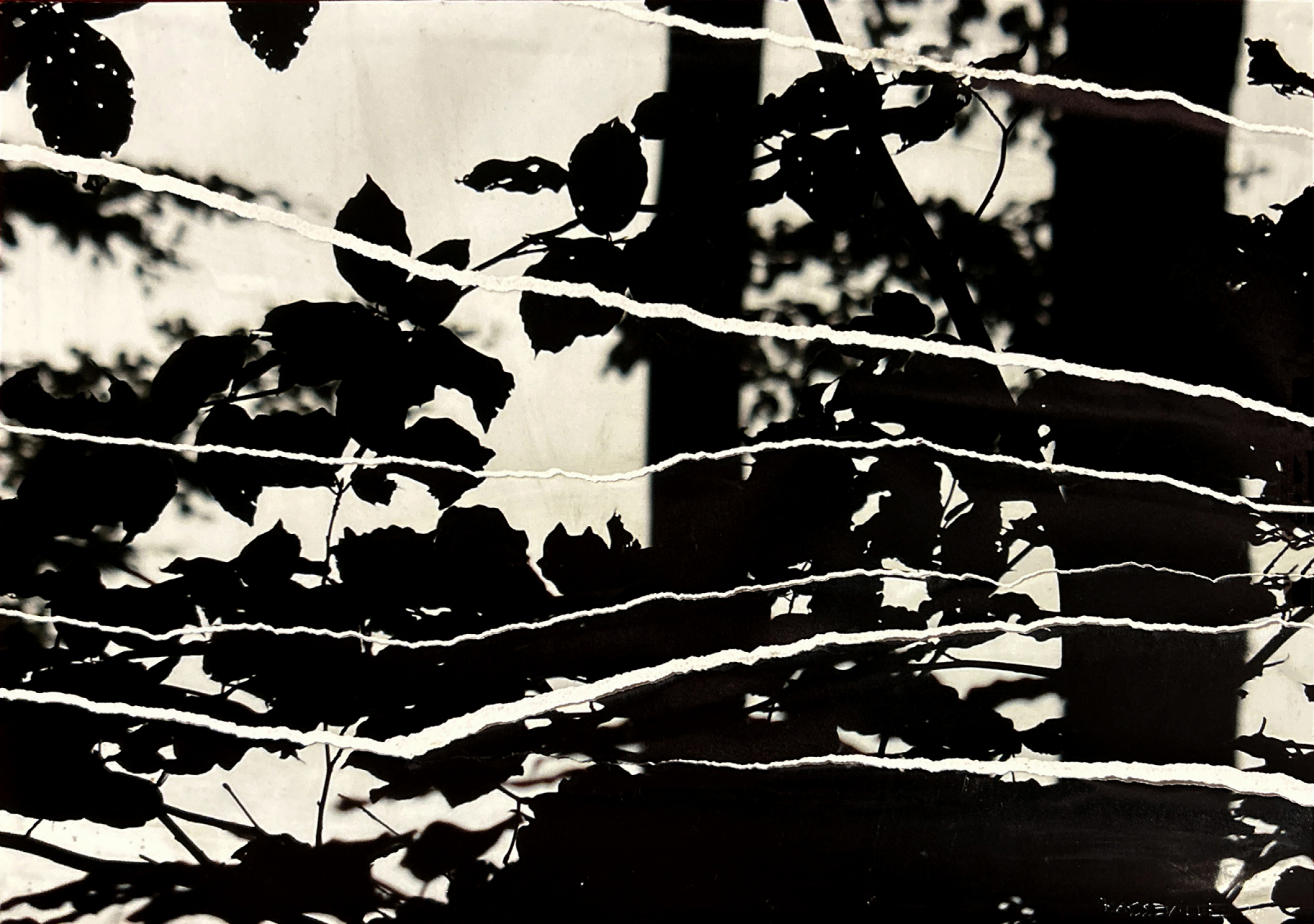 Paysage 5, série Souvenirs Troubles, Edith BASSEVILLE